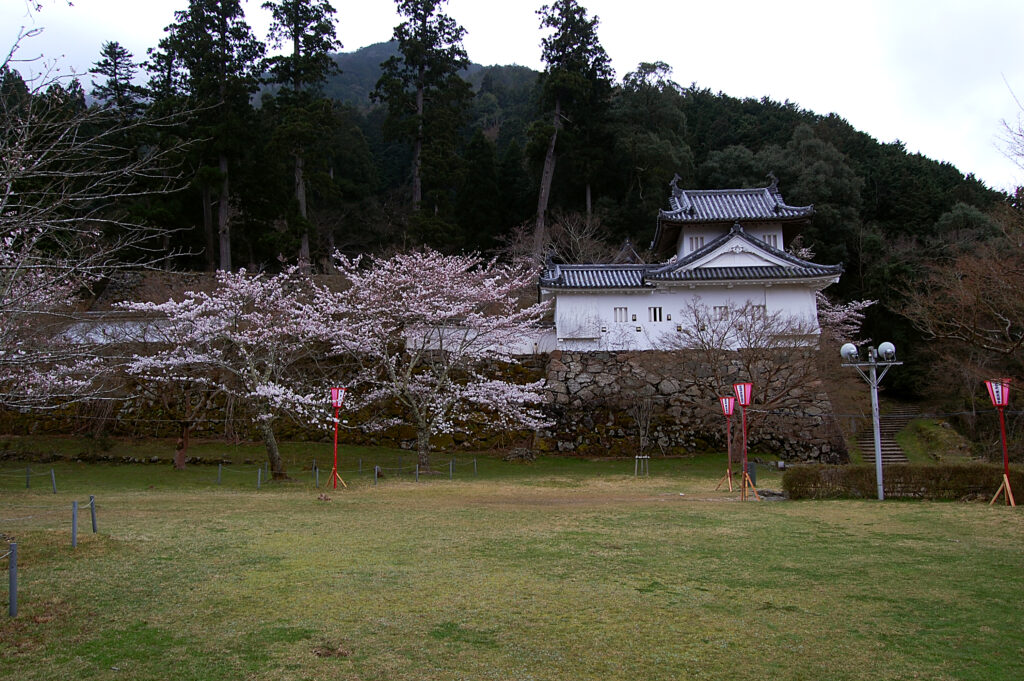 出石城二の丸公園の桜